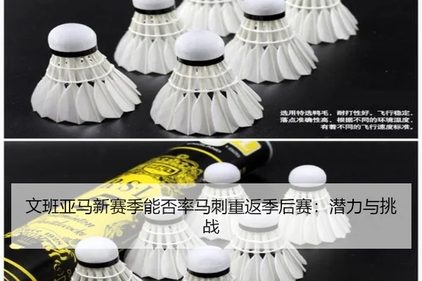 文班亚马新赛季能否率马刺重返季后赛：潜力与挑战